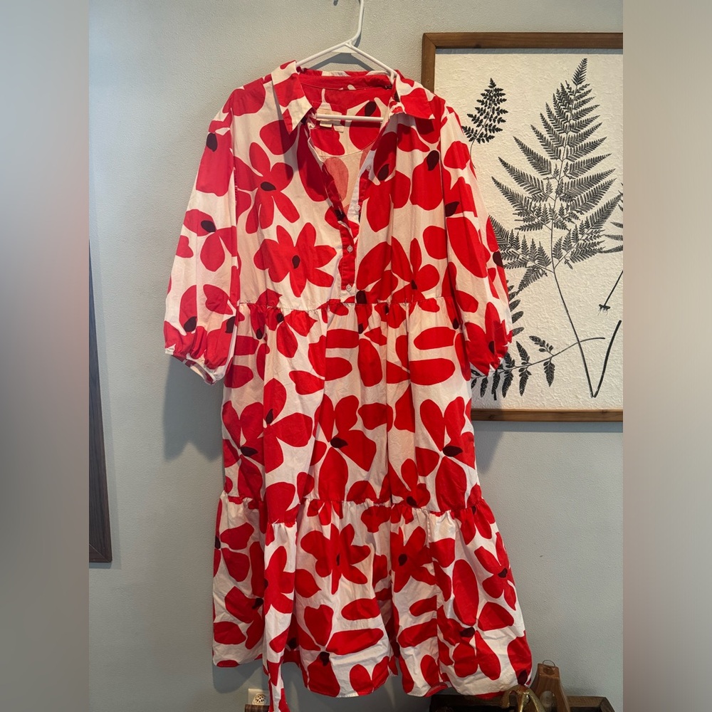 Anthropologie Red Floral Shirt Dress